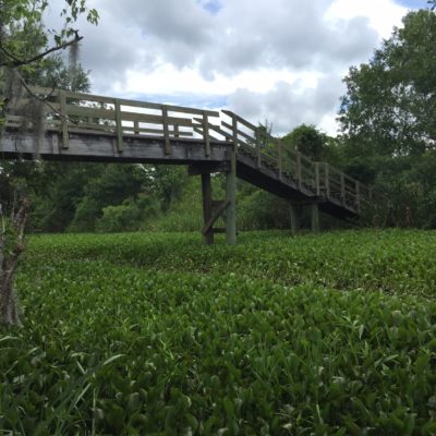 Submar-natural-landscape-1-min Submar natural landscape 1