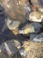 Submar Northwest Branch Anacostia River Before, 12846