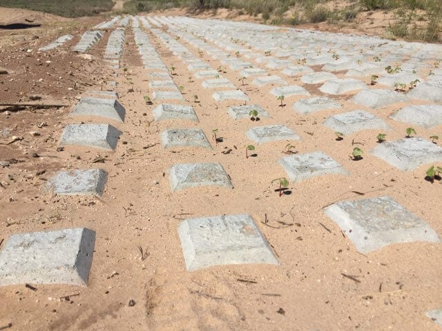 Introducing Armadune Wind Mats