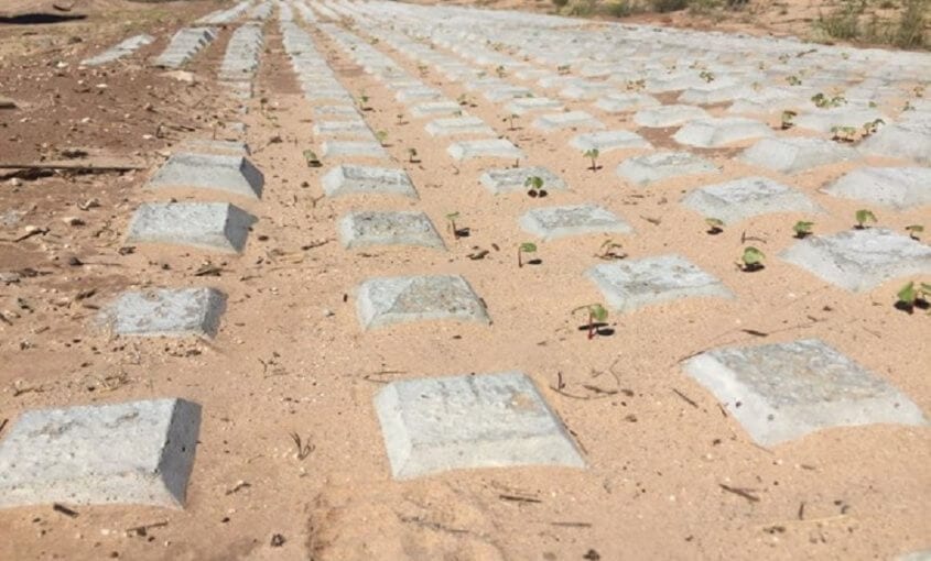 Non-Vegetative Soil Stabilization Options - Vegetative Erosion Control