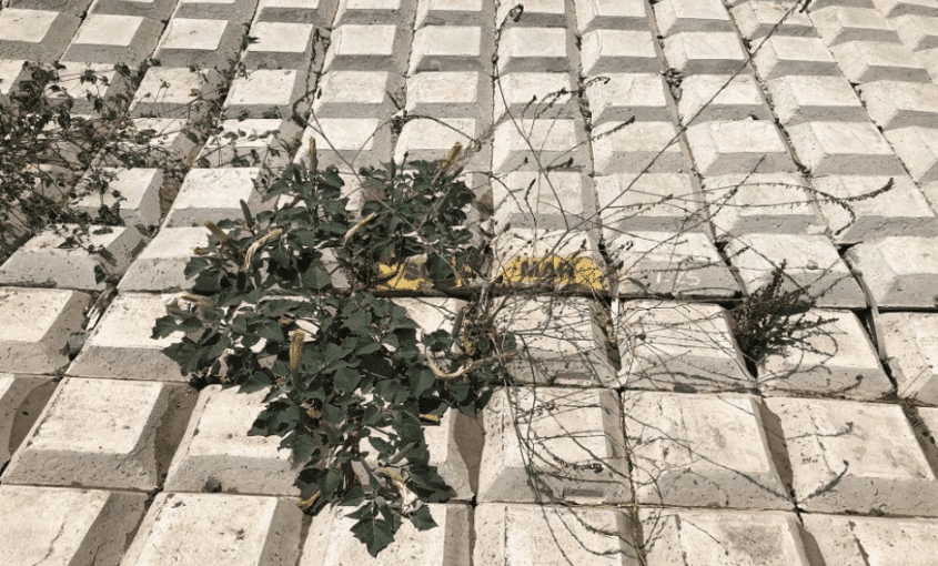 Types of Sediment Barriers