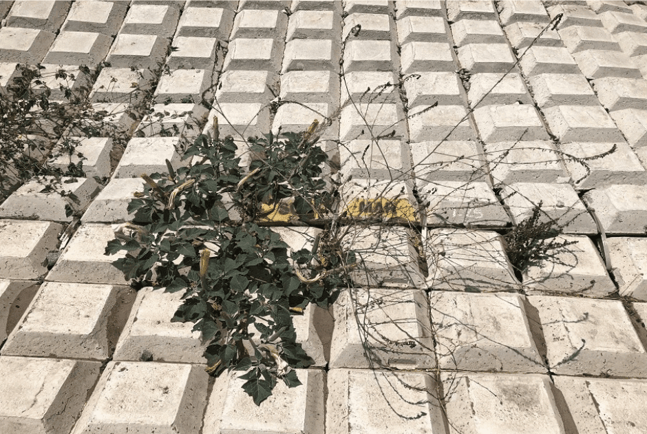 Types of Sediment Barriers