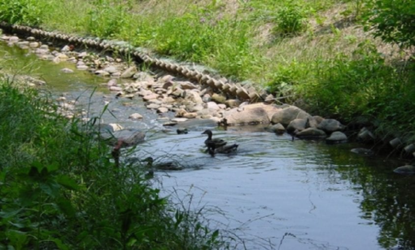 Vegetated Riprap Could Prevent Future Pipeline Exposure Remediation