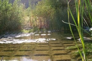 North Dakota Farmers Find Way To Avoid Another Year Of “Snirt”