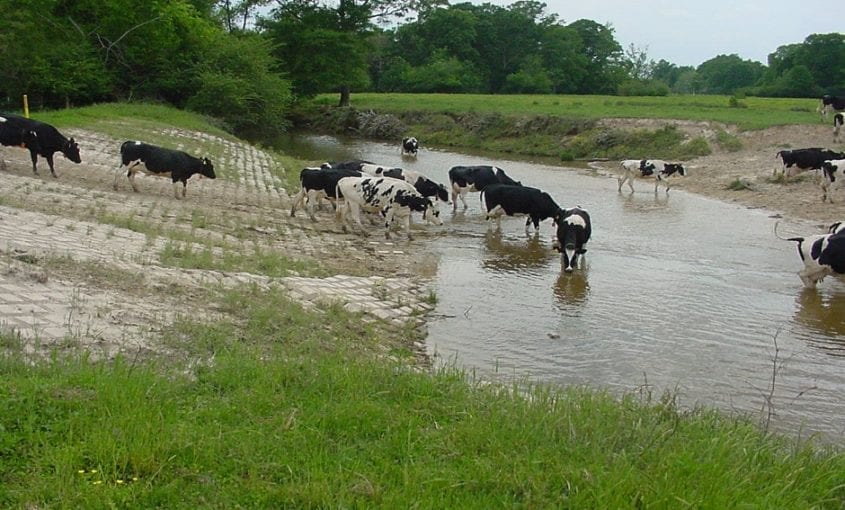 Things to Do While In Houma - Articulated Concrete Mats