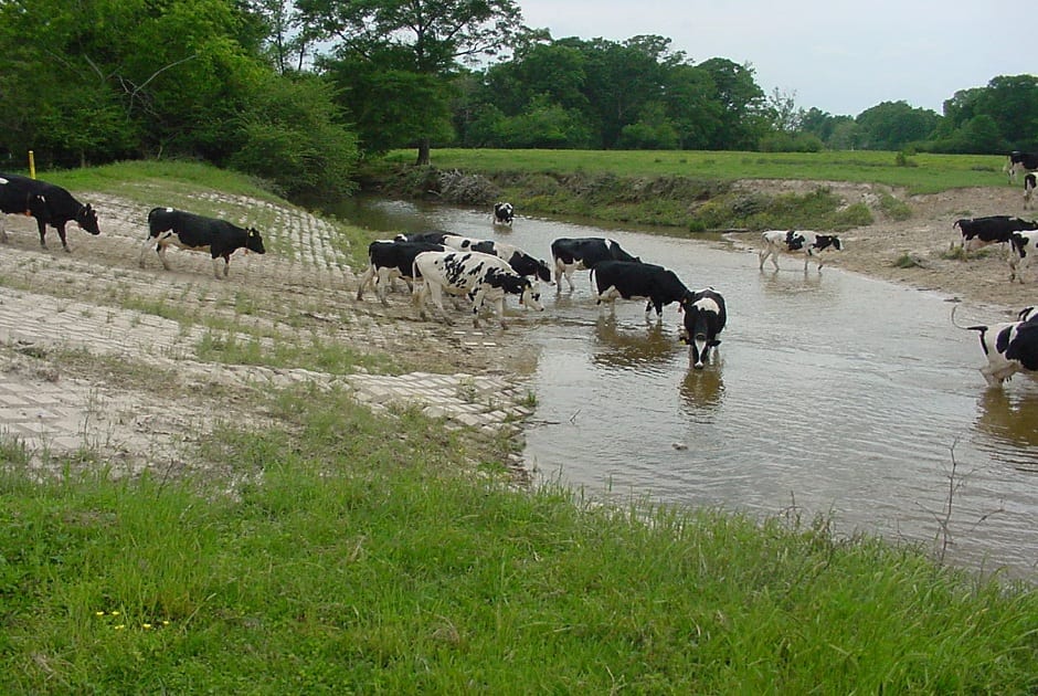 Things to Do While In Houma - Articulated Concrete Mats