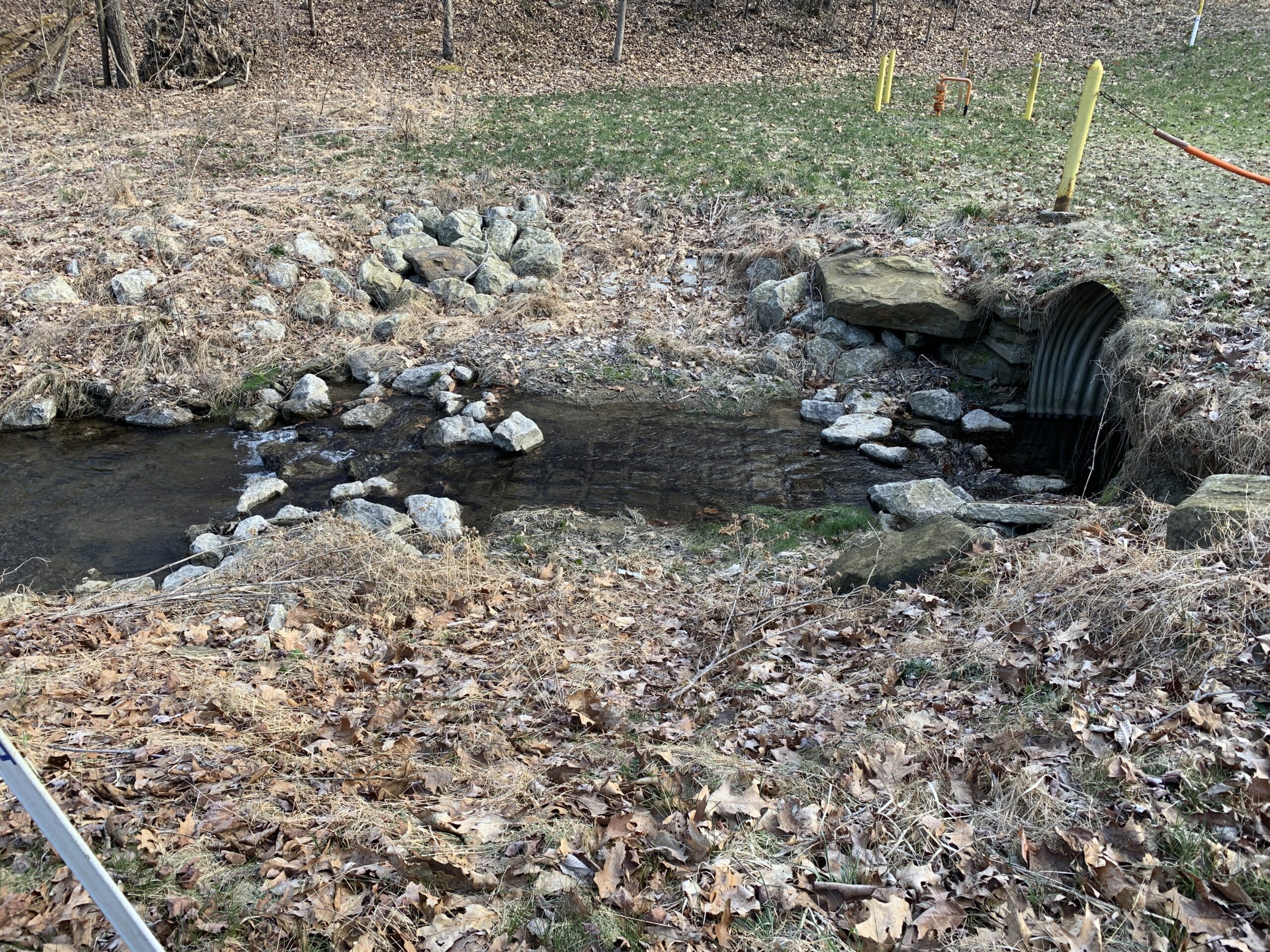 20240321_132040210_iOS