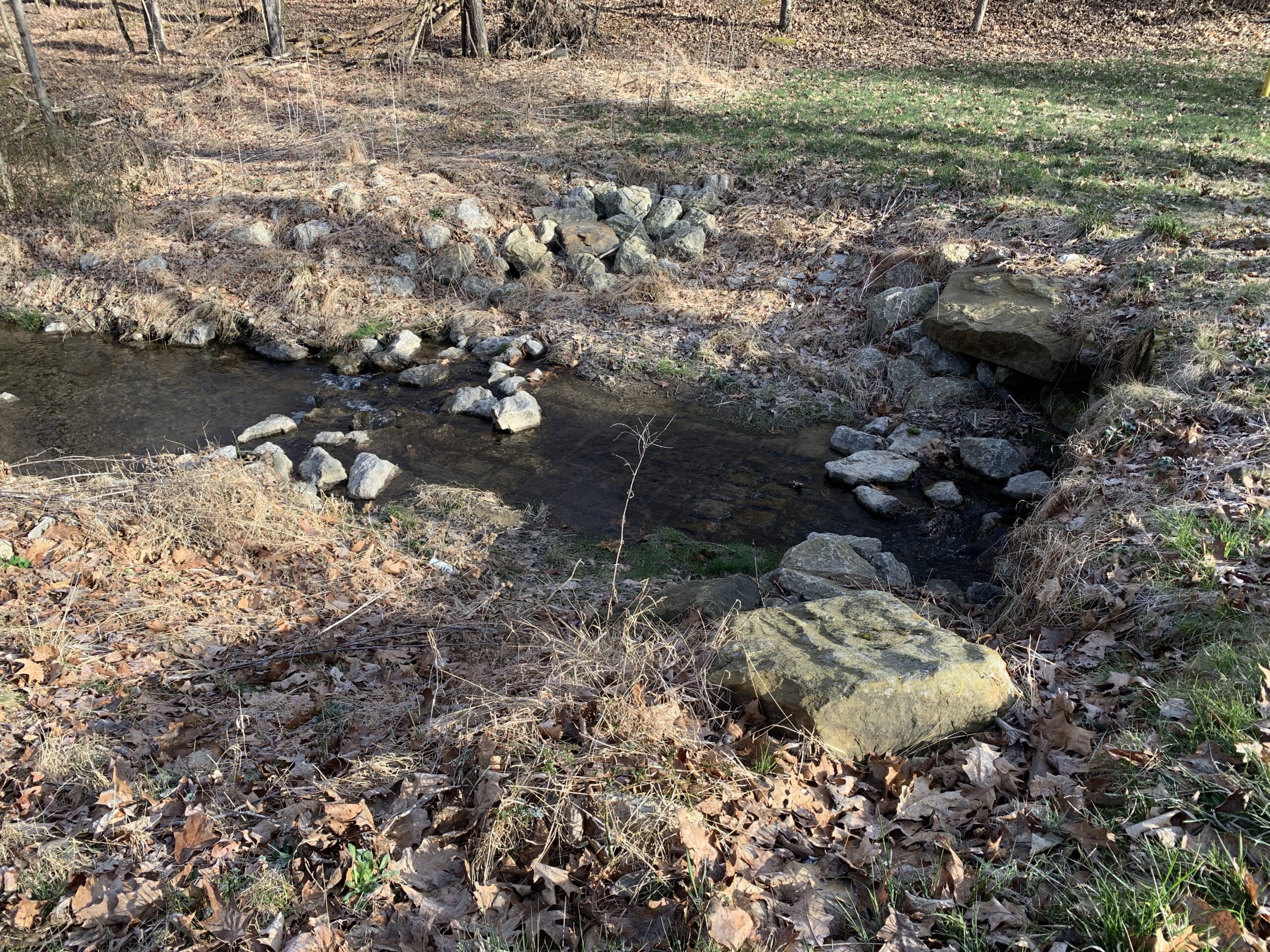 20240321_132129955_iOS