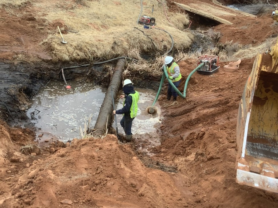 23.03.10-9.47AM-IMG_5455 landscape